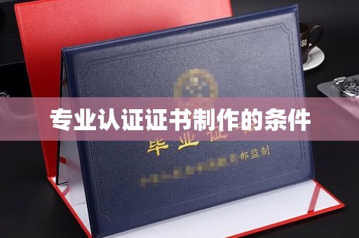道真专业认证证书制作的条件