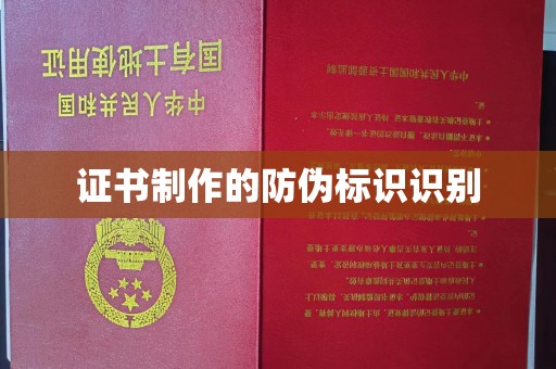 道真证书制作的防伪标识识别