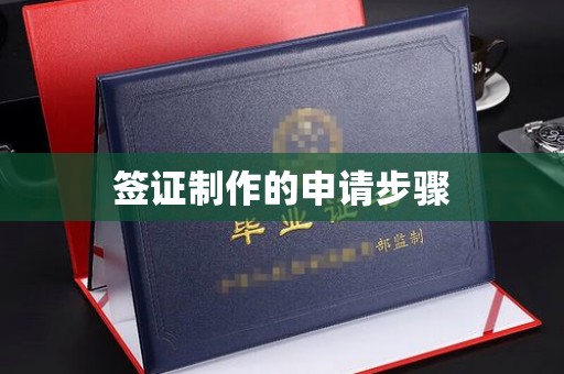道真签证制作的申请步骤