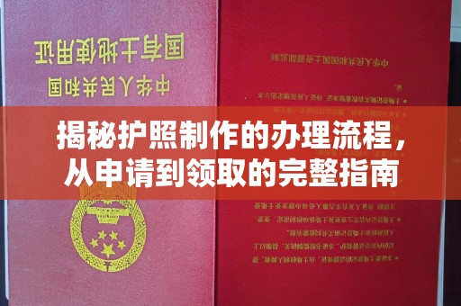 道真揭秘护照制作的办理流程，从申请到领取的完整指南