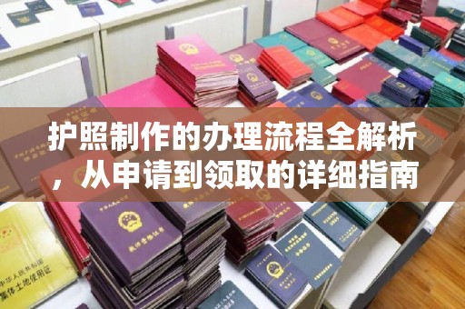 道真护照制作的办理流程全解析，从申请到领取的详细指南