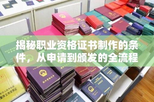 道真揭秘职业资格证书制作的条件，从申请到颁发的全流程解析