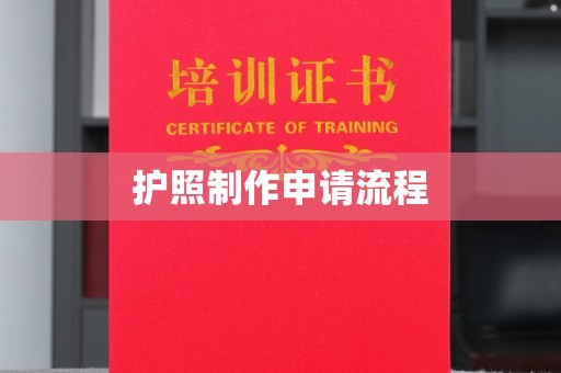 道真护照制作申请流程