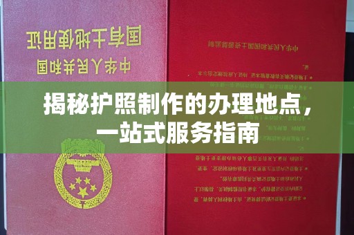 道真揭秘护照制作的办理地点，一站式服务指南