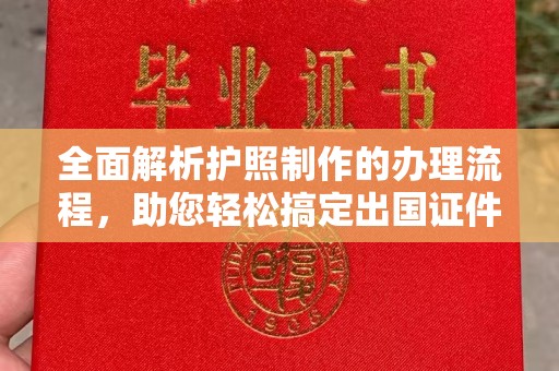 道真全面解析护照制作的办理流程，助您轻松搞定出国证件