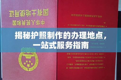 道真揭秘护照制作的办理地点，一站式服务指南
