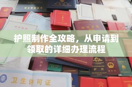 道真护照制作全攻略，从申请到领取的详细办理流程