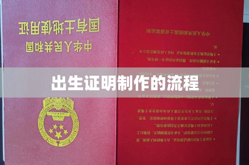 道真出生证明制作的流程