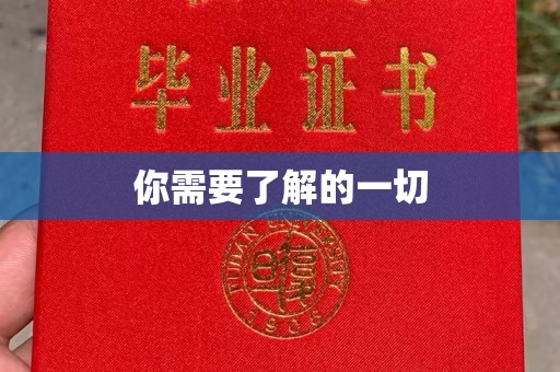 道真你需要了解的一切